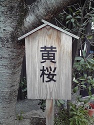 f:id:ikep:20080412152330j:image f:id:ikep:20080412152330j:image