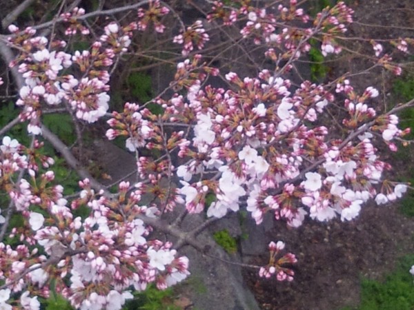 f:id:ikep:20120403074852j:image f:id:ikep:20120403074852j:image