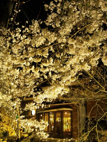 f:id:ikep:20120410203512j:image f:id:ikep:20120410203512j:image