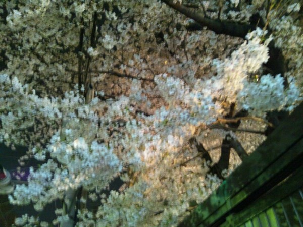 f:id:ikep:20120411123517j:image f:id:ikep:20120411123517j:image