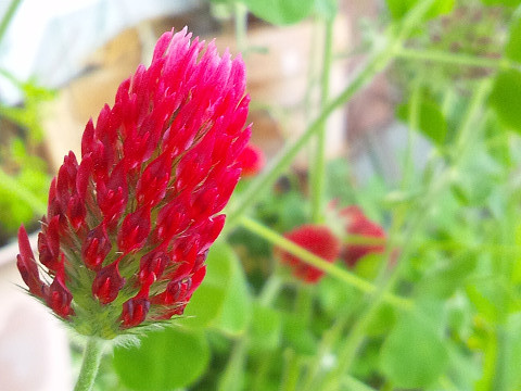 f:id:ikep:20120519230200j:image f:id:ikep:20120519230200j:image