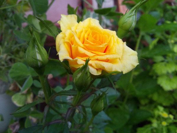 f:id:ikep:20120519231132j:image f:id:ikep:20120519231132j:image