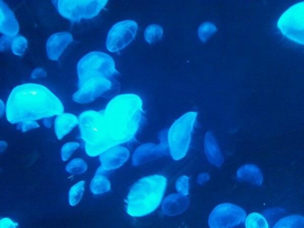 f:id:ikep:20120602140311j:image f:id:ikep:20120602140311j:image