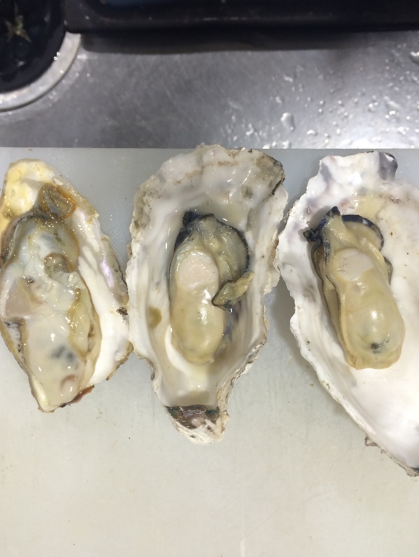 生牡蠣と加熱した牡蠣との見た目の違い 味の違いは 松島 仙台 広島 三重などなど 日本の牡蠣小屋の魅力を世界に発信