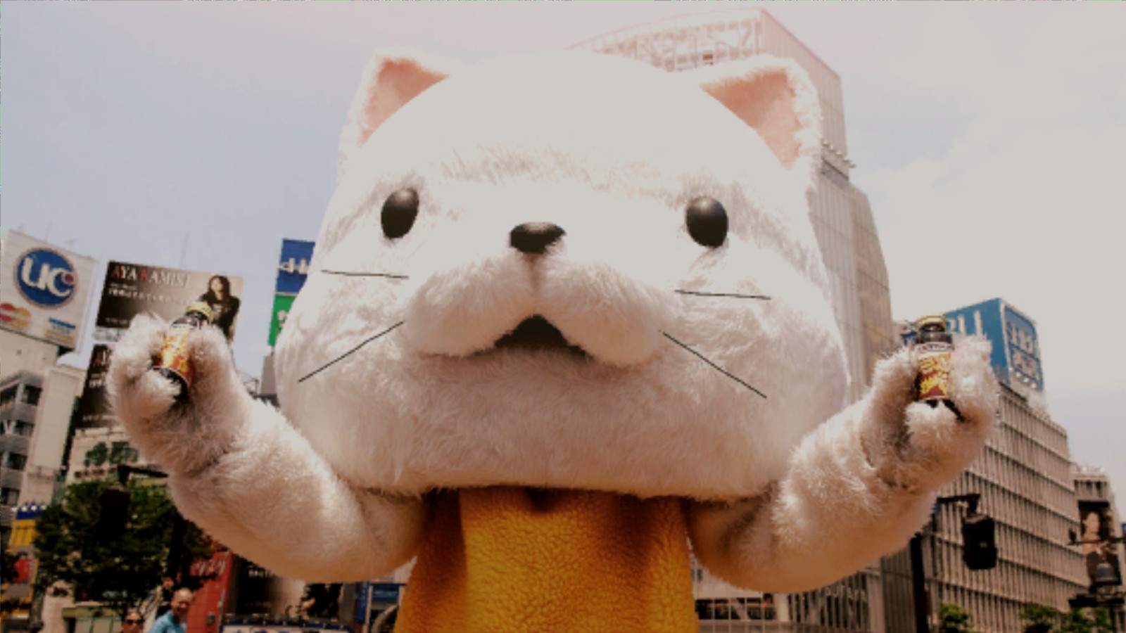 「428 タマ」の画像検索結果