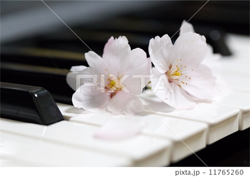 f:id:kenchanaska:20180305034715j:image