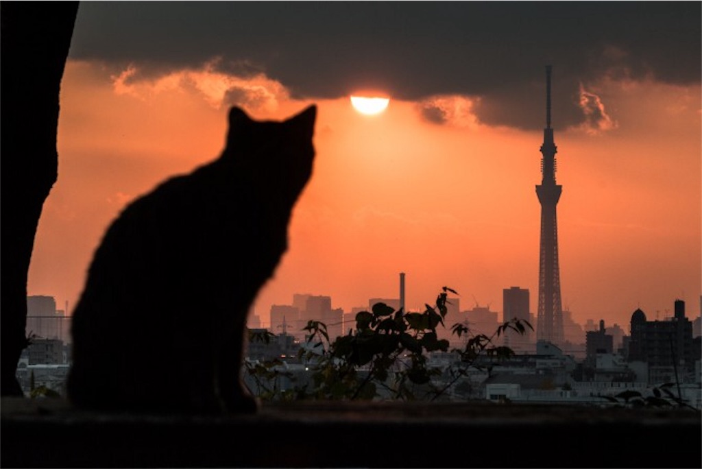 f:id:kenchanaska:20180310160823j:image