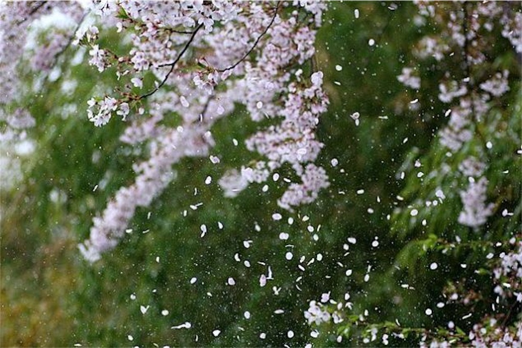 f:id:kenchanaska:20180416125820j:image