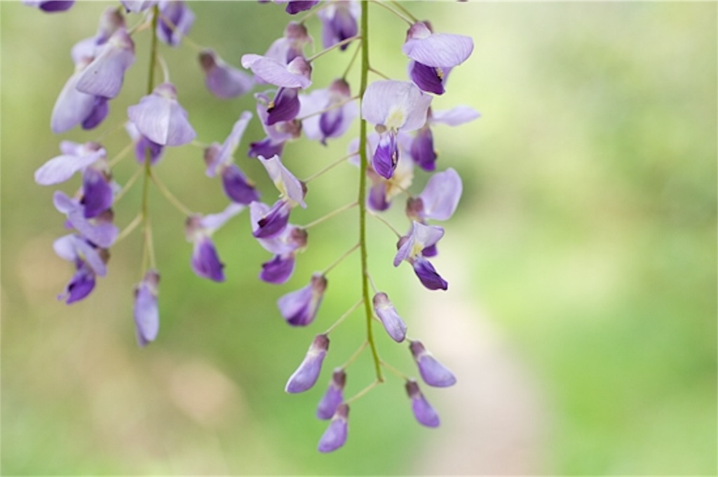 f:id:kenchanaska:20180428145823j:image