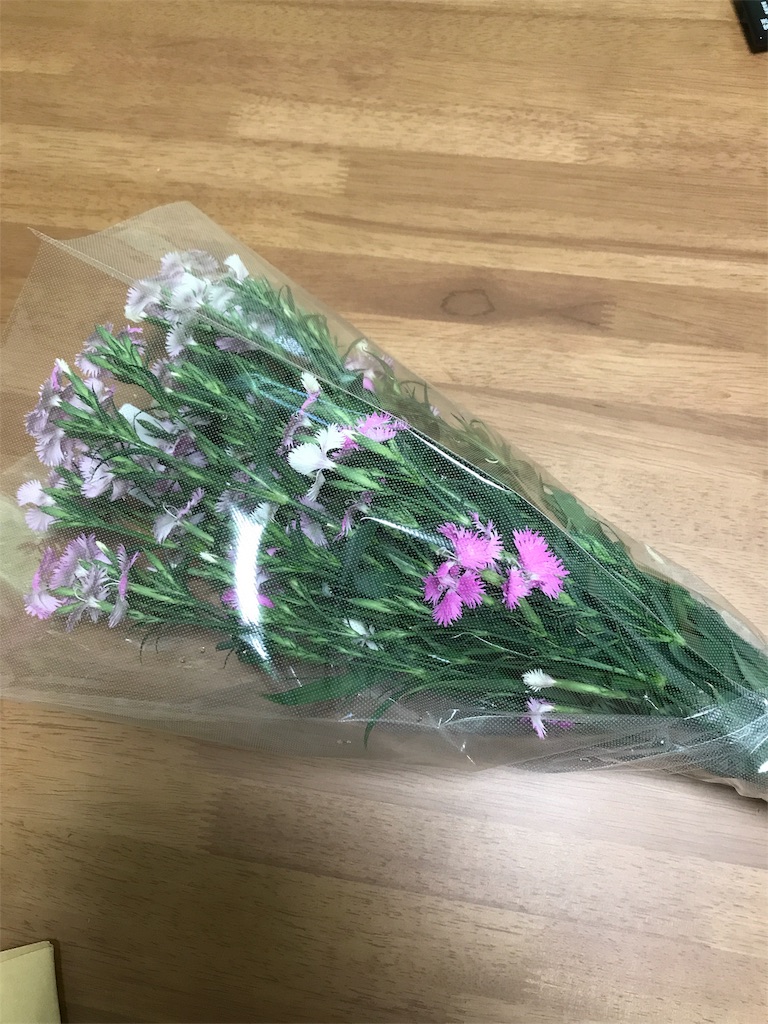 f:id:kenchanaska:20180511111034j:image
