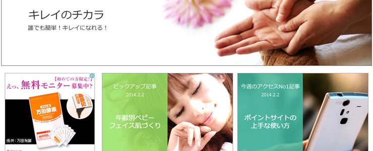 f:id:kireichikara:20140202145303j:plain