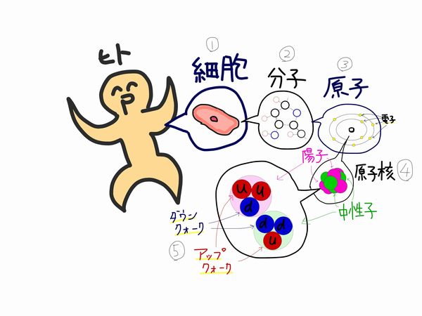 f:id:kotosanagi:20151210044838j:plain