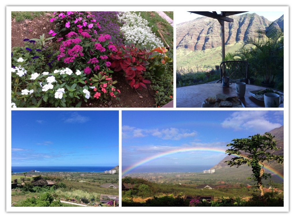 f:id:leanani:20160718201304j:plain