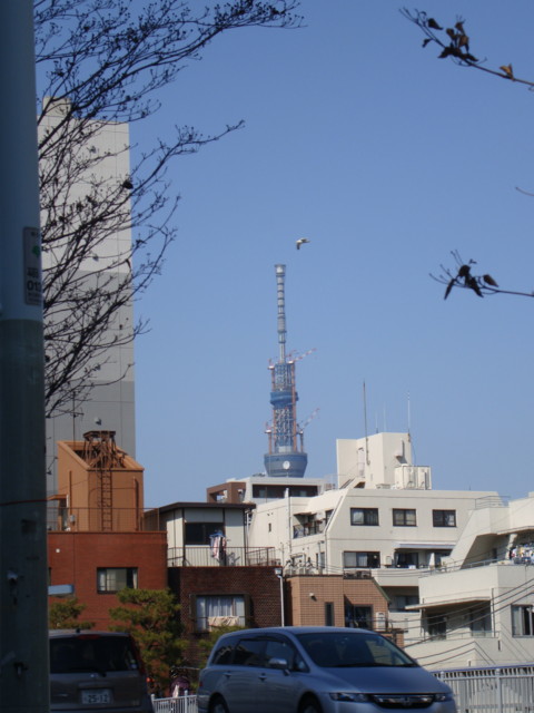 f:id:liusei:20110326140558j:image