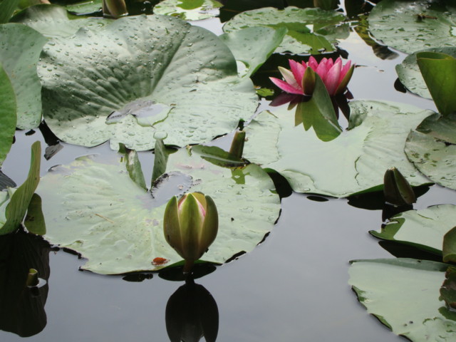 f:id:liusei:20110611144159j:image