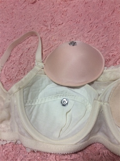 f:id:m1017ve-s813pl:20161120002927j:image