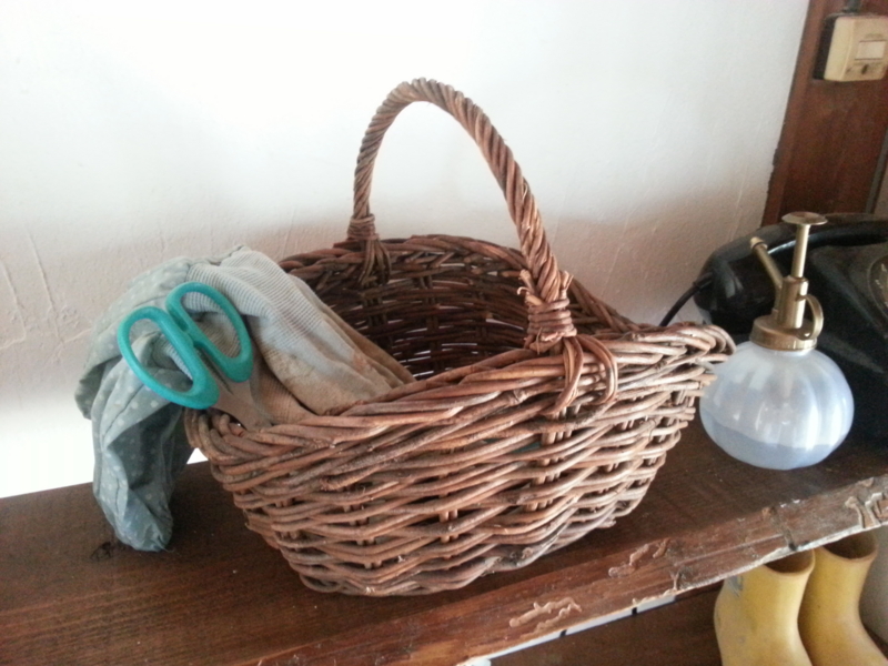 f:id:nps0203:20120803214027j:image:w360