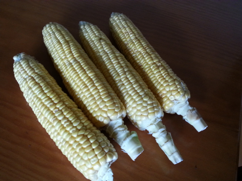 f:id:nps0203:20120804105721j:image:w360