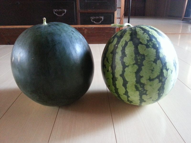 f:id:nps0203:20120804160645j:image:w360