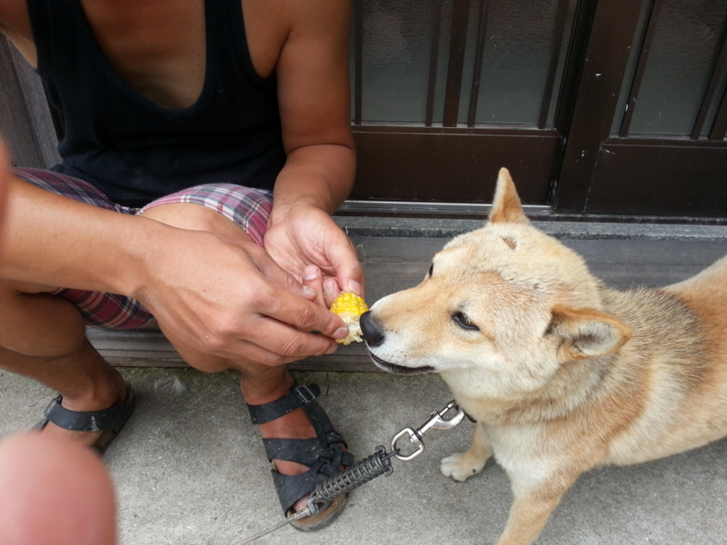 f:id:nps0203:20120804161117j:image:w360