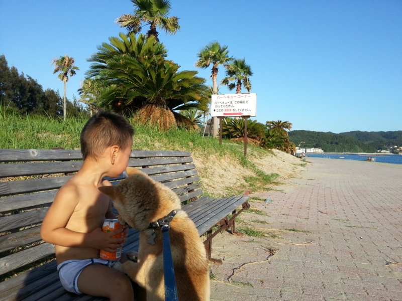 f:id:nps0203:20120812002327j:image:w640