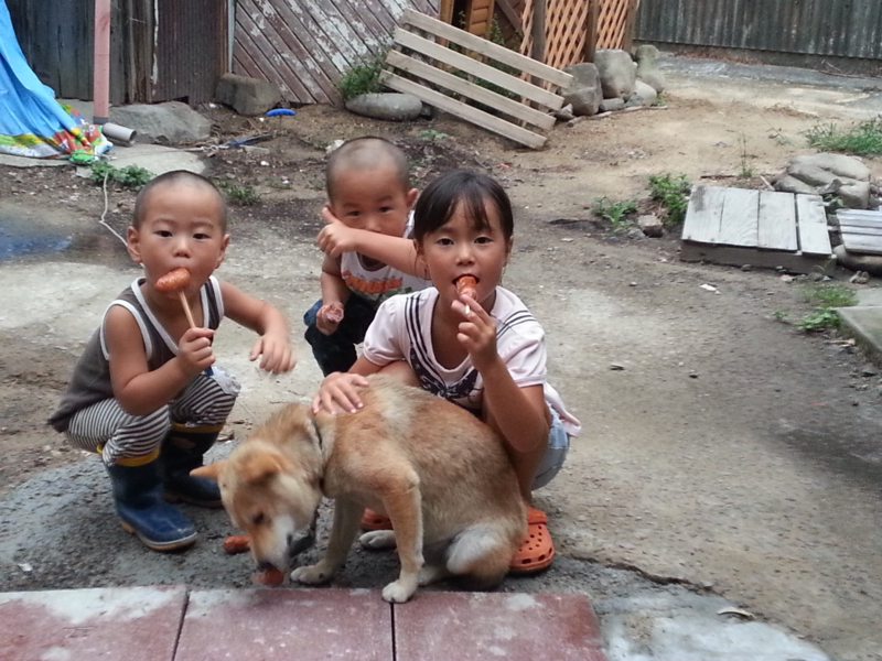 f:id:nps0203:20120816004323j:image:w360