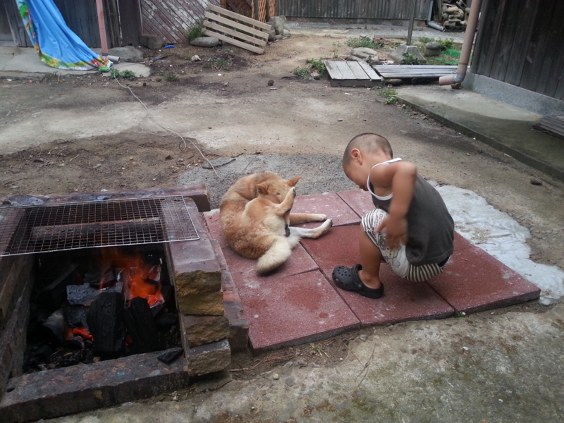 f:id:nps0203:20120816004412j:image:w360