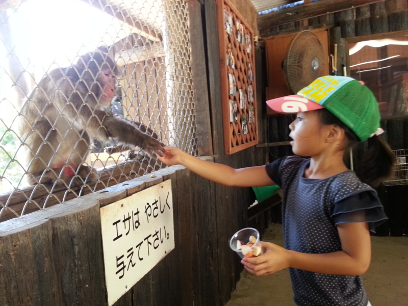 f:id:nps0203:20120818214532j:image:w360