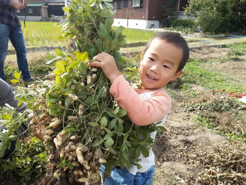 f:id:nps0203:20121219150545j:image:w360