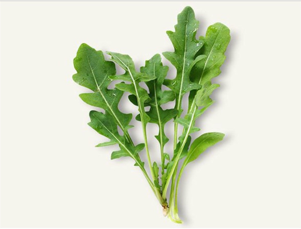 f:id:sachiway:20180514110545j:image f:id:sachiway:20180514110545j:image