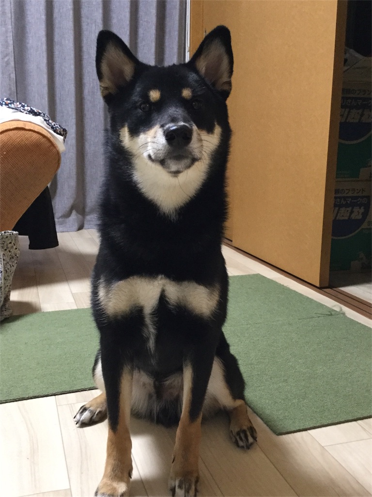 f:id:sana_72me37:20171005231227j:image