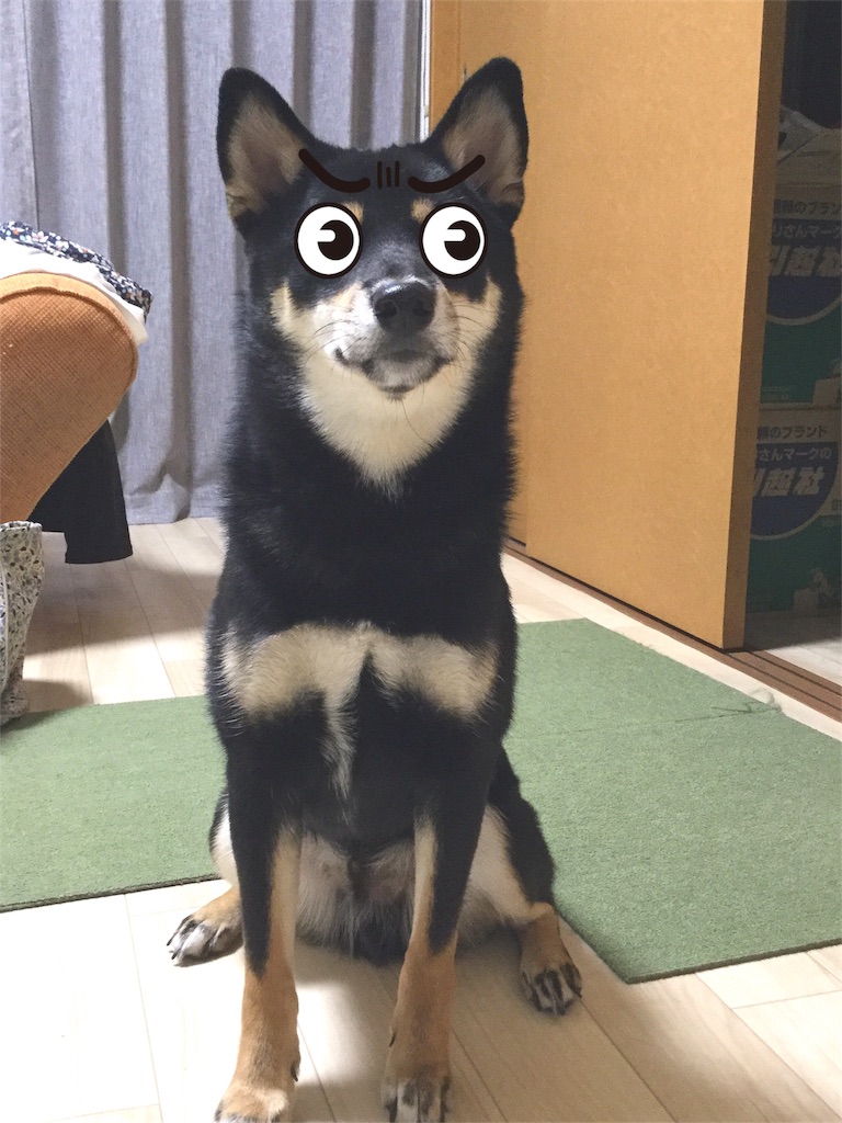 f:id:sana_72me37:20171005231240j:image