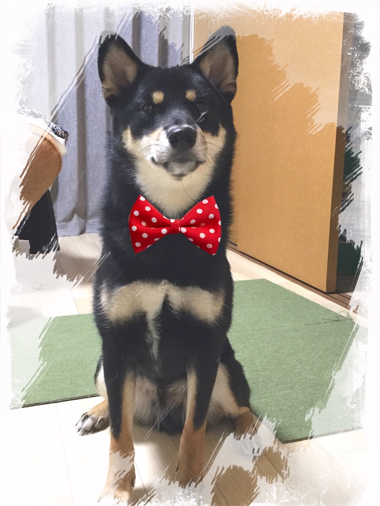 f:id:sana_72me37:20171005231248j:image