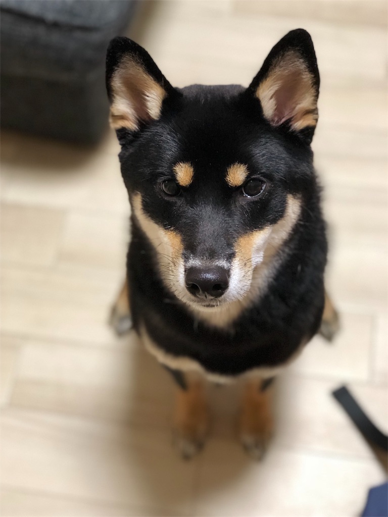 f:id:sana_72me37:20171024225531j:image