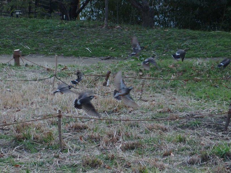 f:id:unsui456:20150318184448j:image:w530