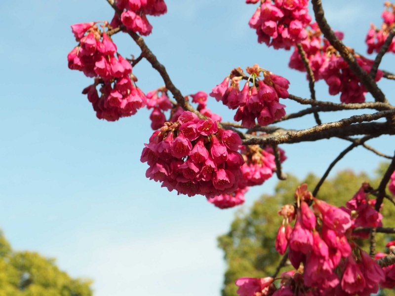 f:id:unsui456:20150322220331j:image:w530 f:id:unsui456:20150322220331j:image:w530