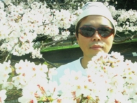 f:id:zingclub:20100406150256j:image