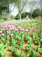 f:id:zingclub:20100406151258j:image