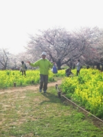 f:id:zingclub:20100406154014j:image