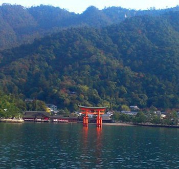 紅葉の様子 紅葉の様子