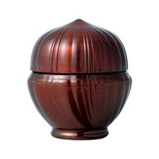 ビカッサフォースセラム プレミアム