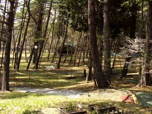 ペットと泊まれる宿のイメージ