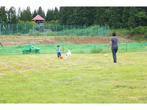 ペットと泊まれる宿のイメージ