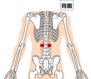 慢性腰痛のツボ 気になる 人体のツボに関して 新宿で量子医療を提供する セル ヒーリング整体院 のブログ