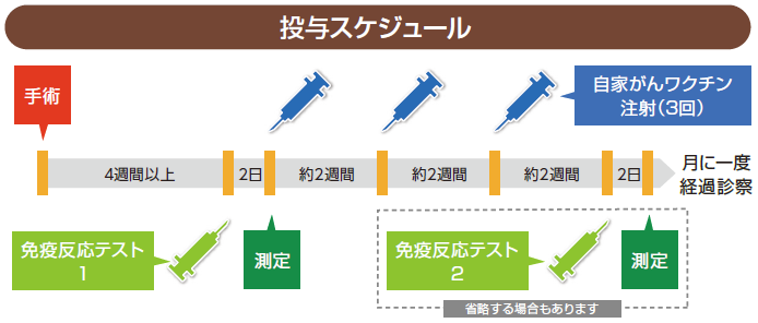 投与スケジュール