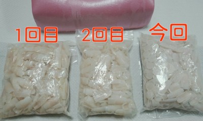 Cenbless　2015ネイリスト技能検定1級練習