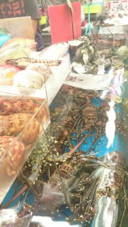 Cenbless　第一牧志公設市場　魚久鮮魚