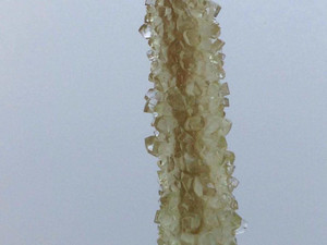 Photo_23