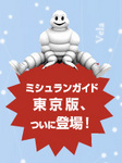 1michelin.jpg