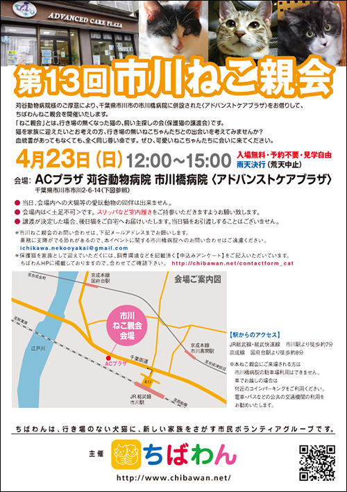 ichikawa13_poster